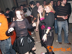 Bild 96