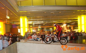 Bild 215