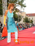 Bild 165