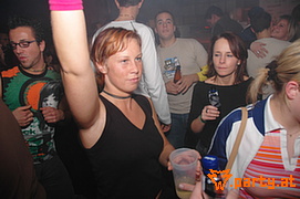 Bild 97