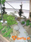Bild 204