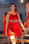 Bild 61