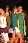 Bild 282