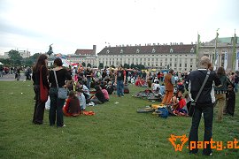 Bild 446