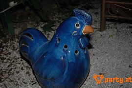 Bild 55