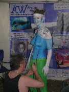 Bild 53