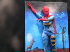 Bild 95