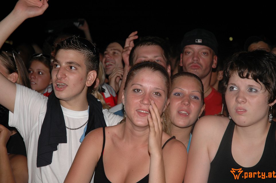 Bild 484