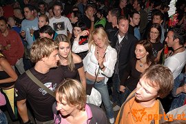 Bild 81