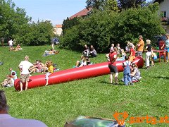 Bild 46