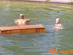Bild 154