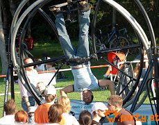 Bild 87