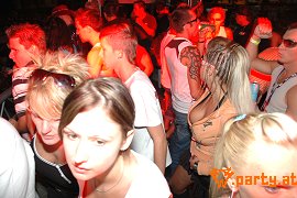 Bild 215
