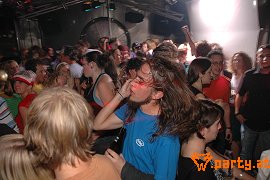 Bild 81