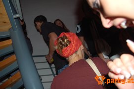 Bild 97