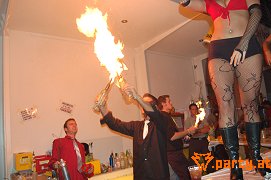 Bild 186