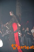 Bild 184
