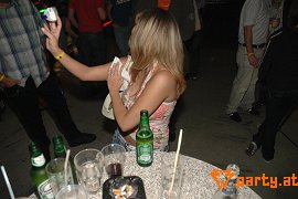 Bild 257