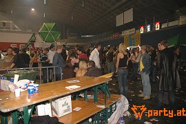 Bild 342