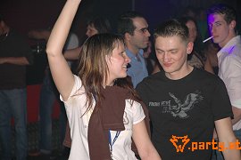 Bild 95