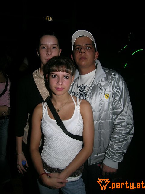 Bild 528