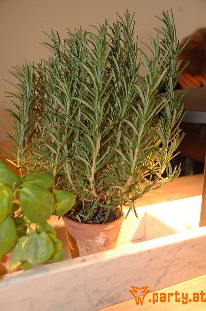 Bild 29