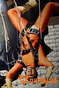 Bild 31