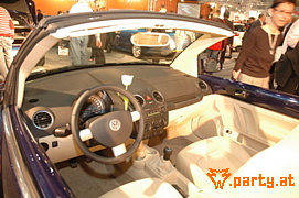 Bild 31
