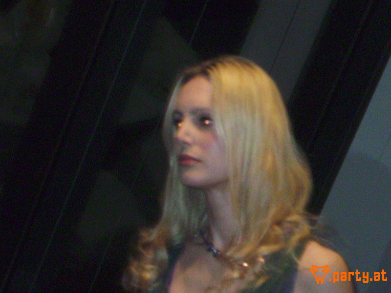 Bild 48