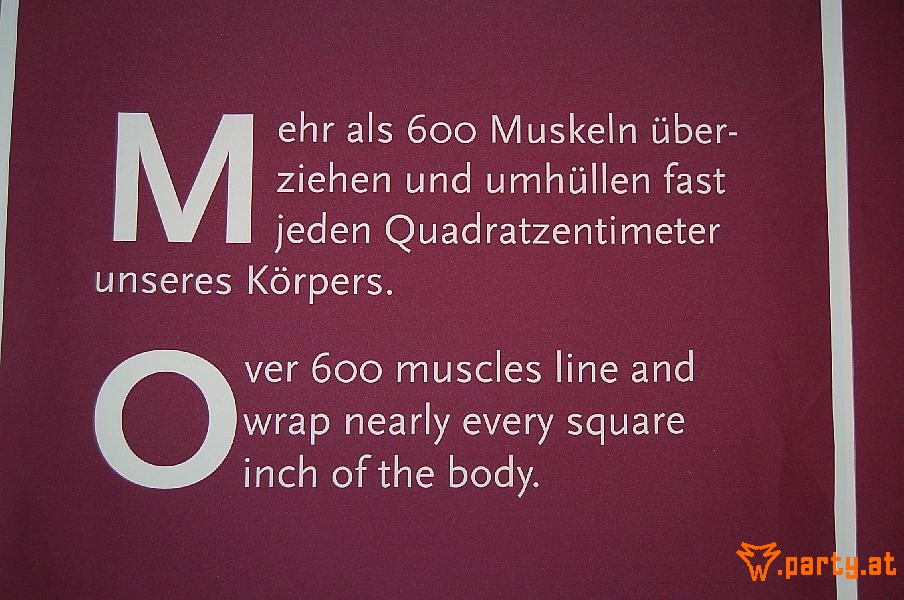 Bild 17