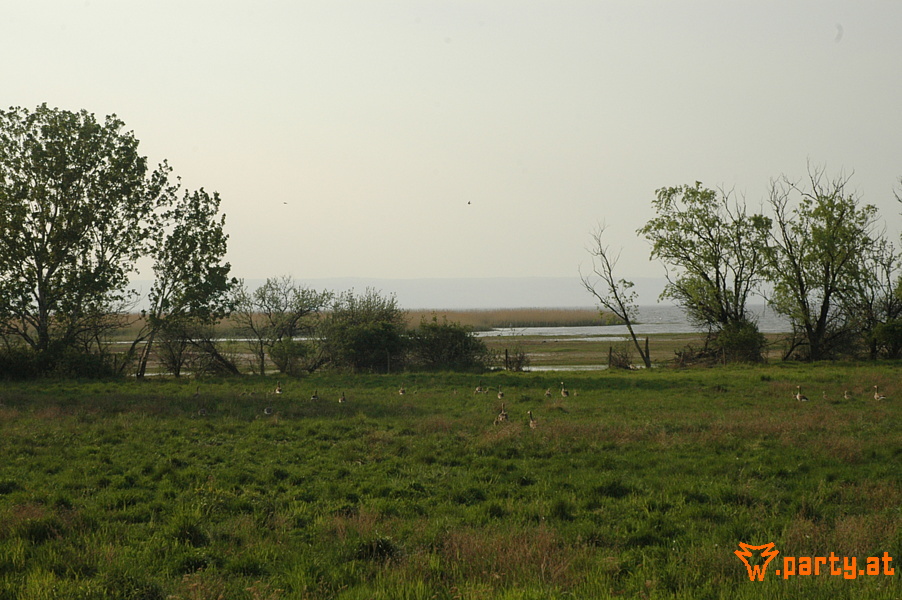 Bild 16