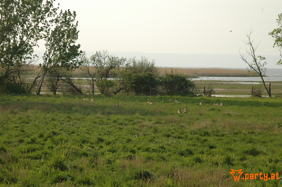 Bild 18