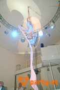 Bild 250