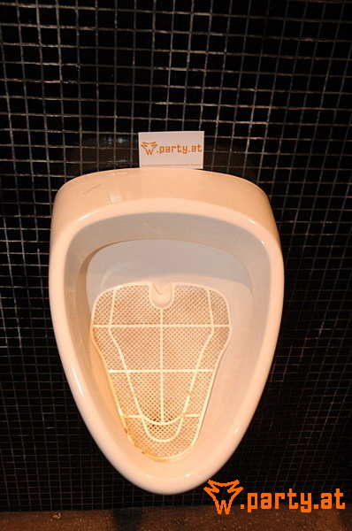 Bild 41