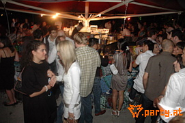 Bild 335