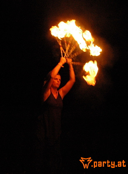 Bild 99