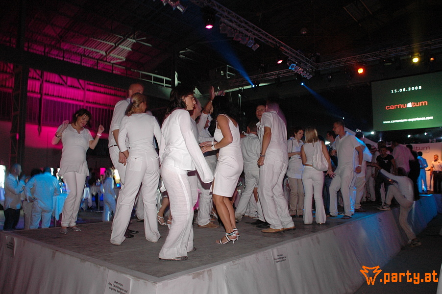 Bild 481