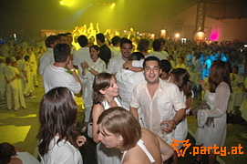 Bild 411