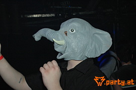 Bild 114