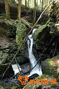 Bild 16