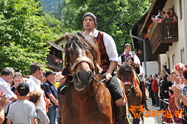 Bild 159