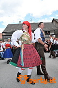 Bild 247