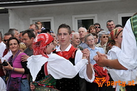 Bild 253