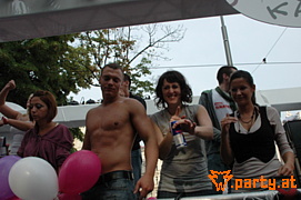 Bild 286