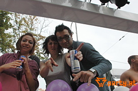 Bild 289