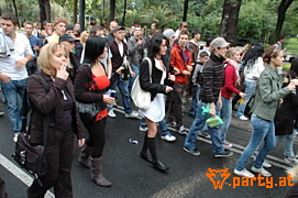 Bild 293