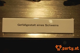 Bild 21