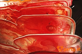 Bild 79