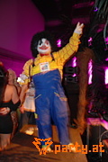 Bild 13