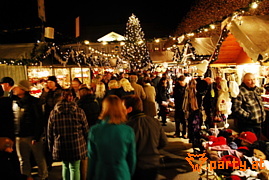 Bild 82